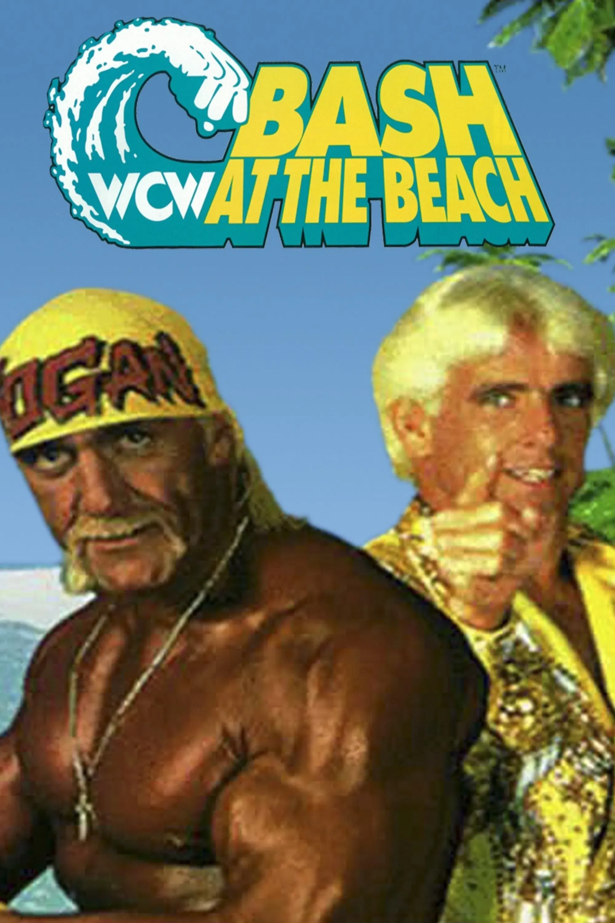 Poster of the movie WCW Bash at the Beach 1994