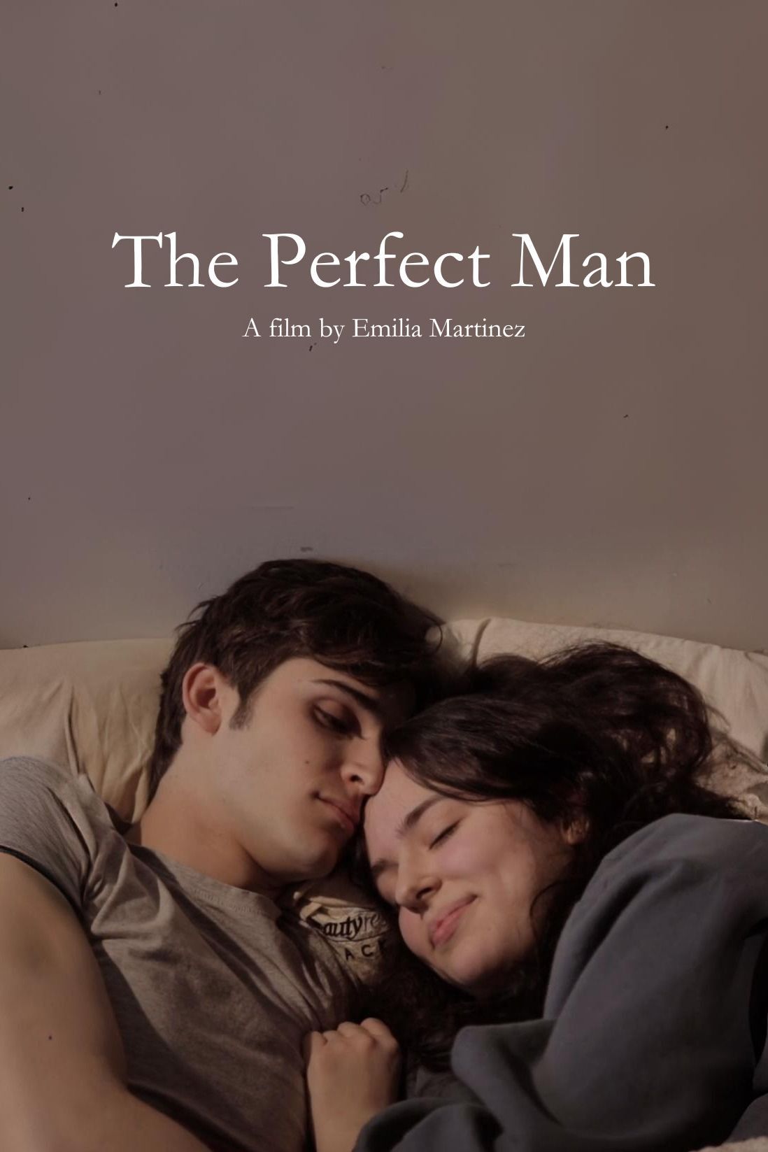 Poster of the movie The Perfect Man