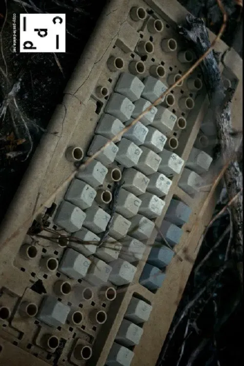 Poster of the movie Copy Paste Delete