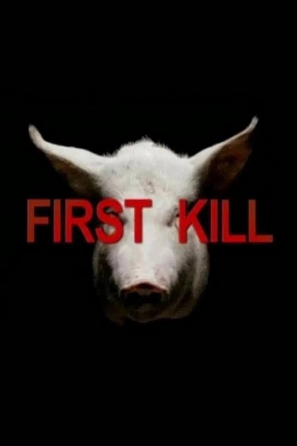 Poster of the movie First Kill