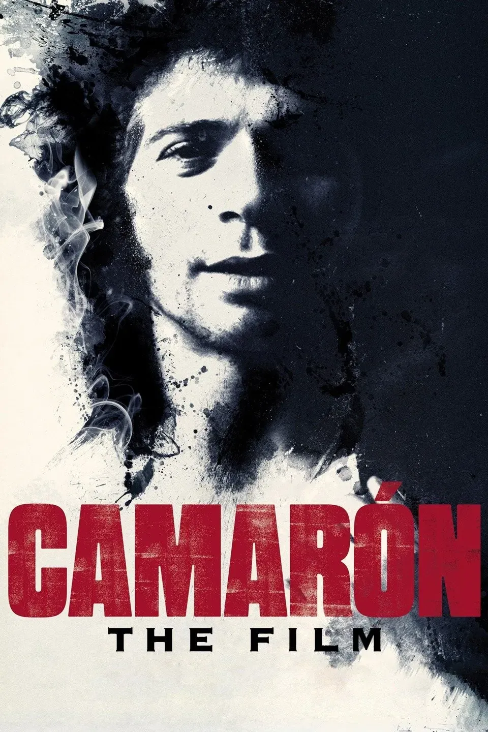 Poster of the movie Camarón: The Film
