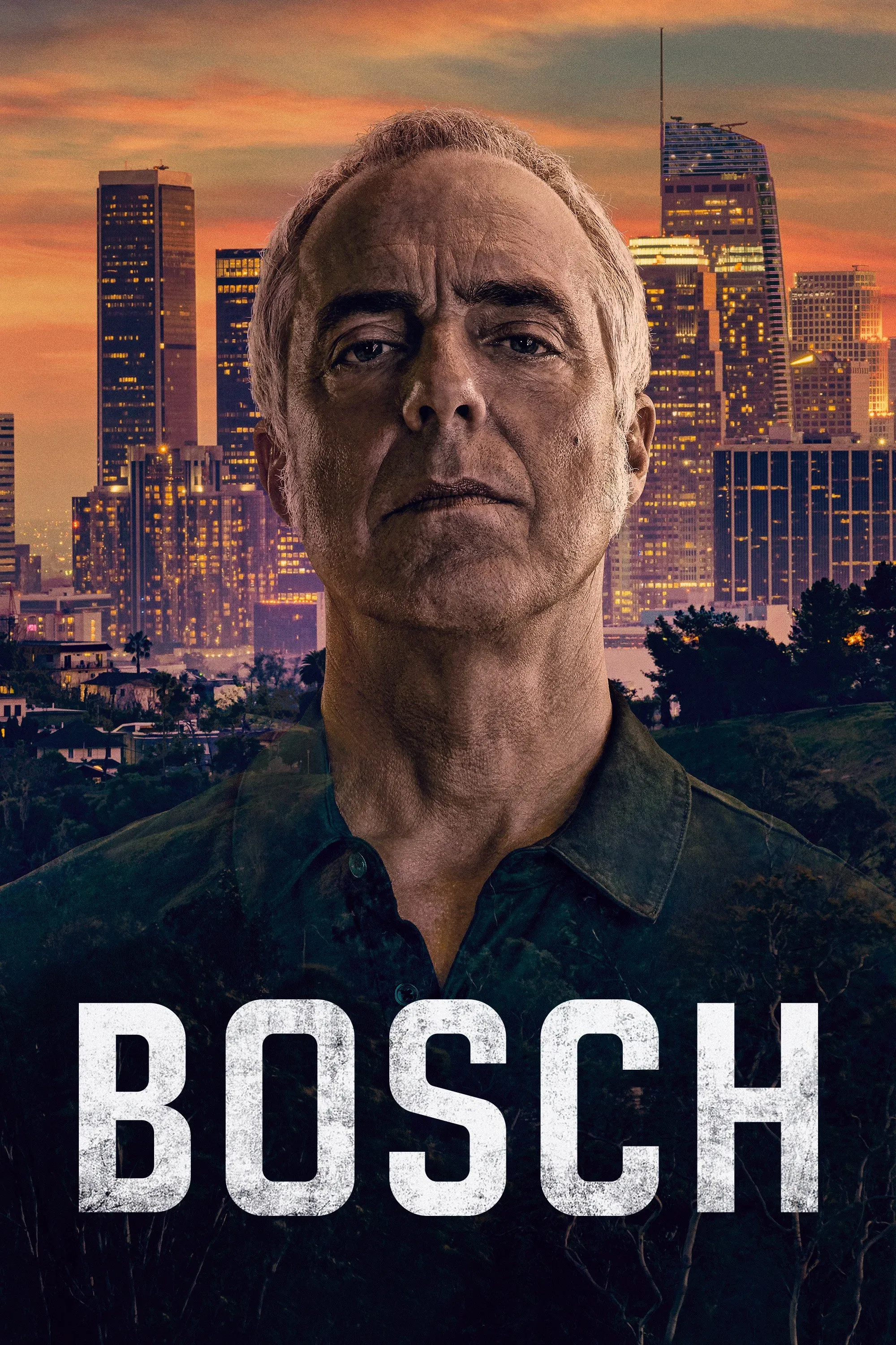Poster of Bosch