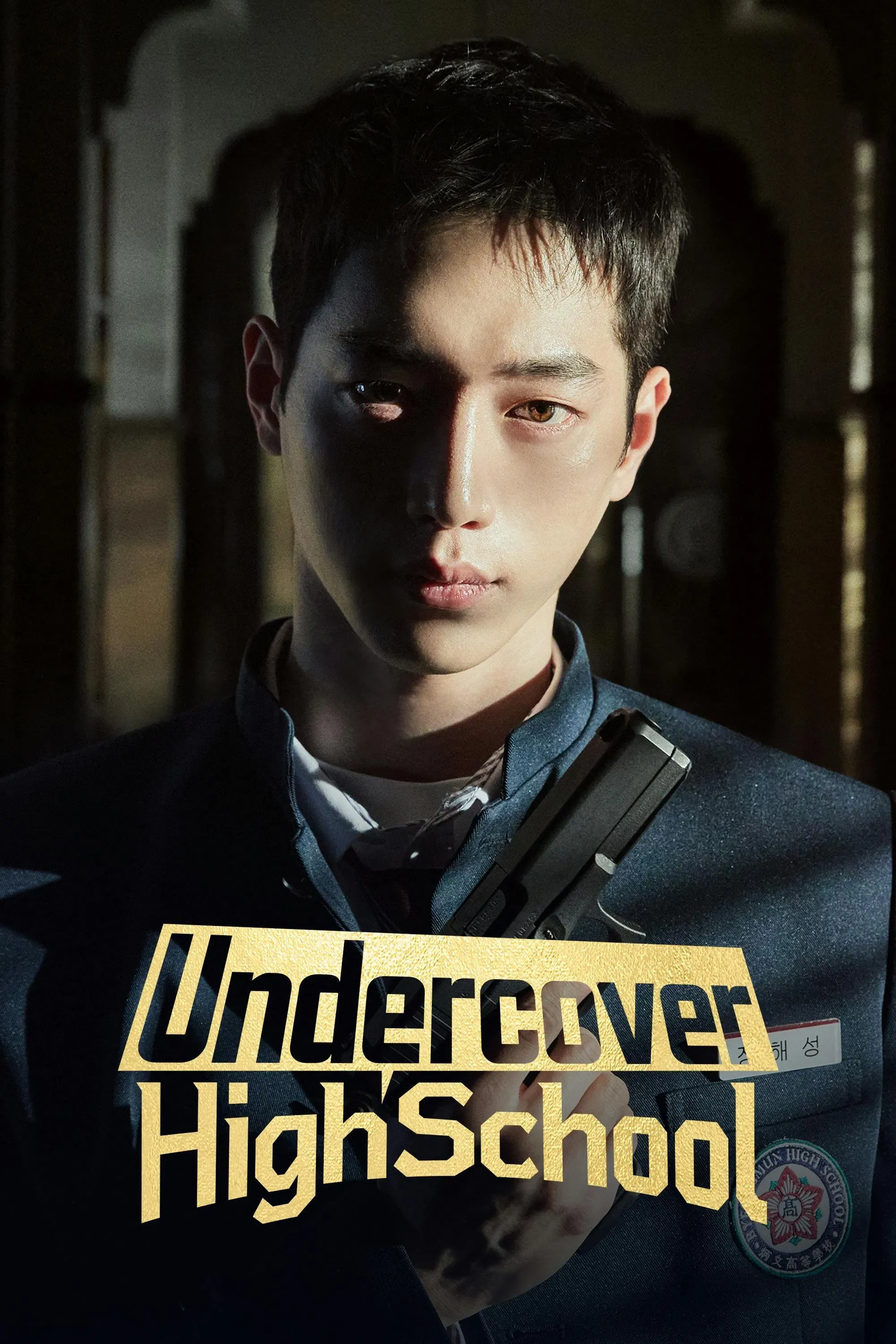 Poster of Undercover High School