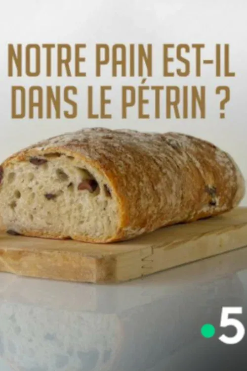 Poster for Notre pain est-il dans le pétrin ?