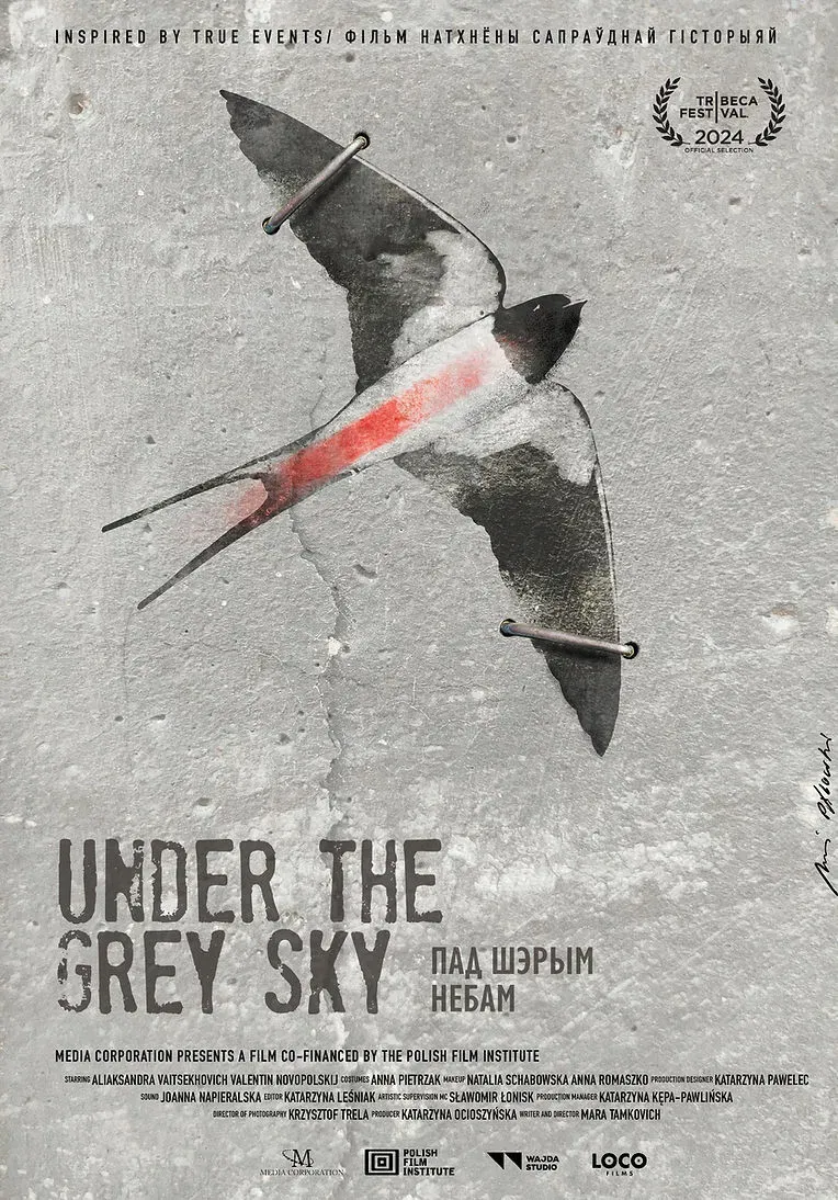 Poster of the movie Under the Grey Sky