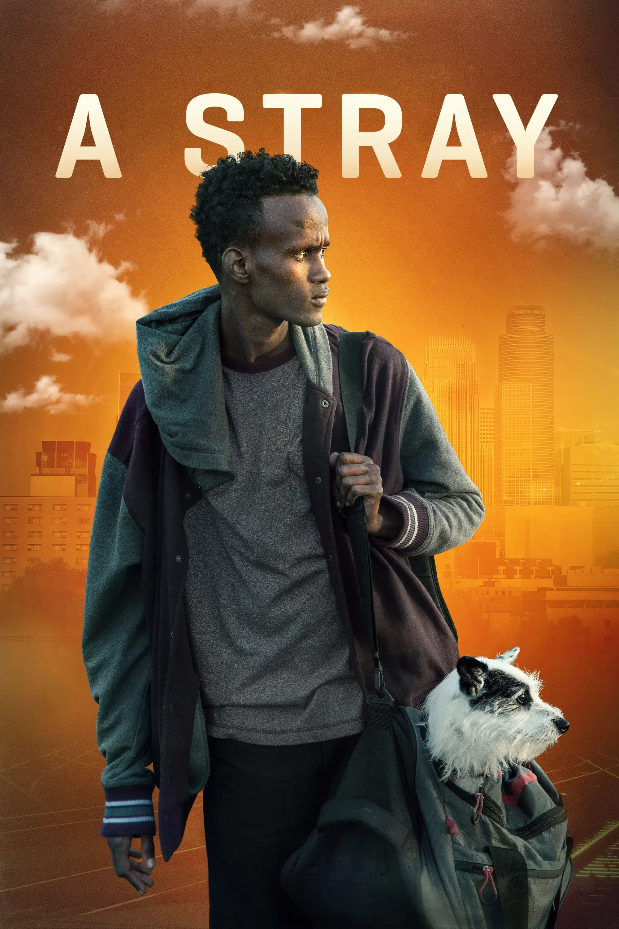 Poster of the movie A Stray