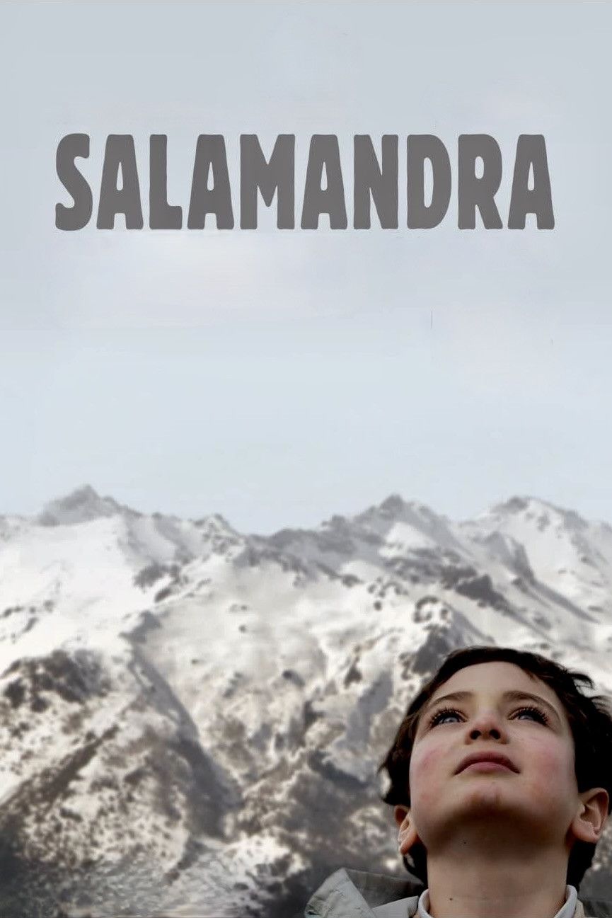 Poster of the movie Salamander