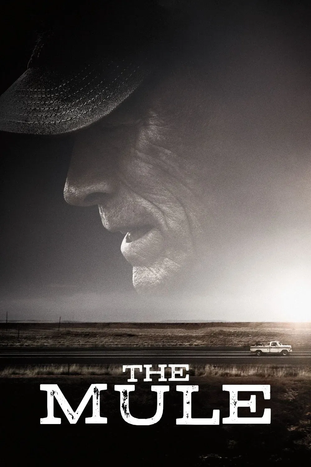 Poster of the movie The Mule