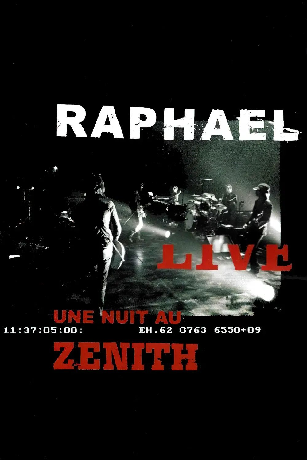 Poster of the movie Raphael-Live au Zenith