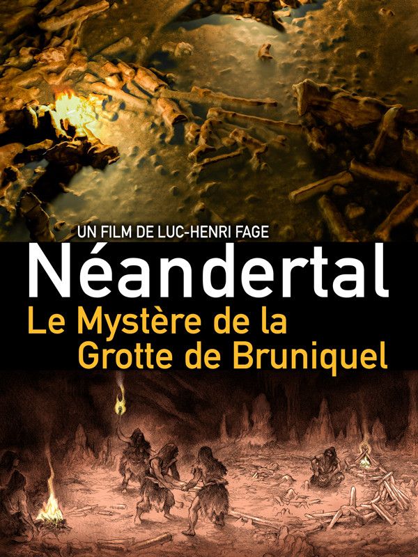 Poster of the movie Neanderthal: The Mystery of the Bruniquel Cave