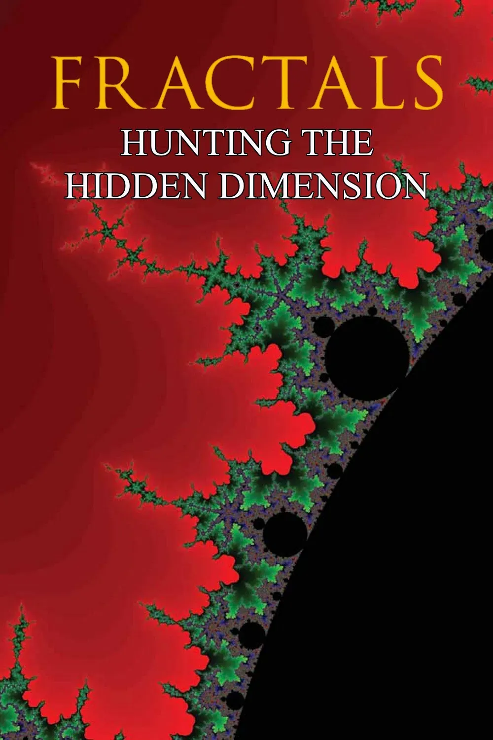 Poster of the movie Fractals: Hunting the Hidden Dimension