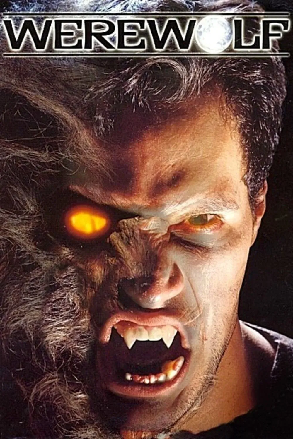 Poster of the movie Werewolf