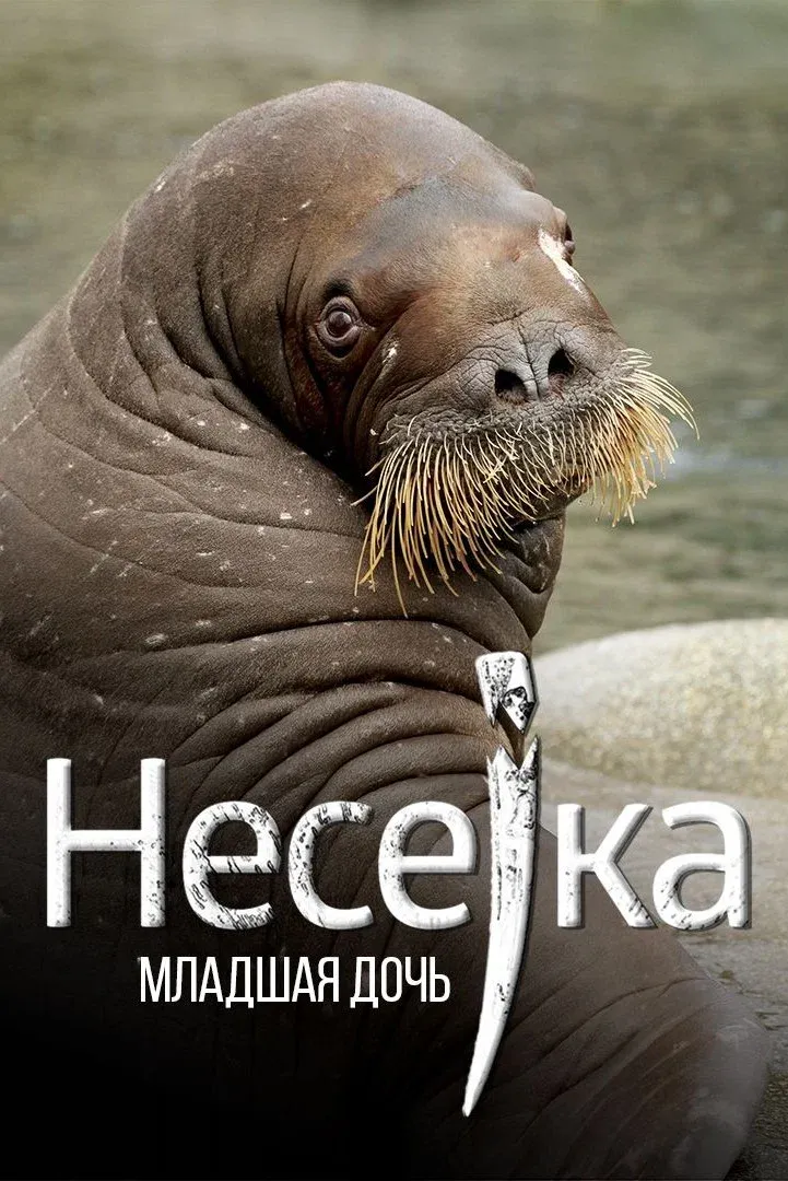 Poster for Neseyka: The Youngest Daughter