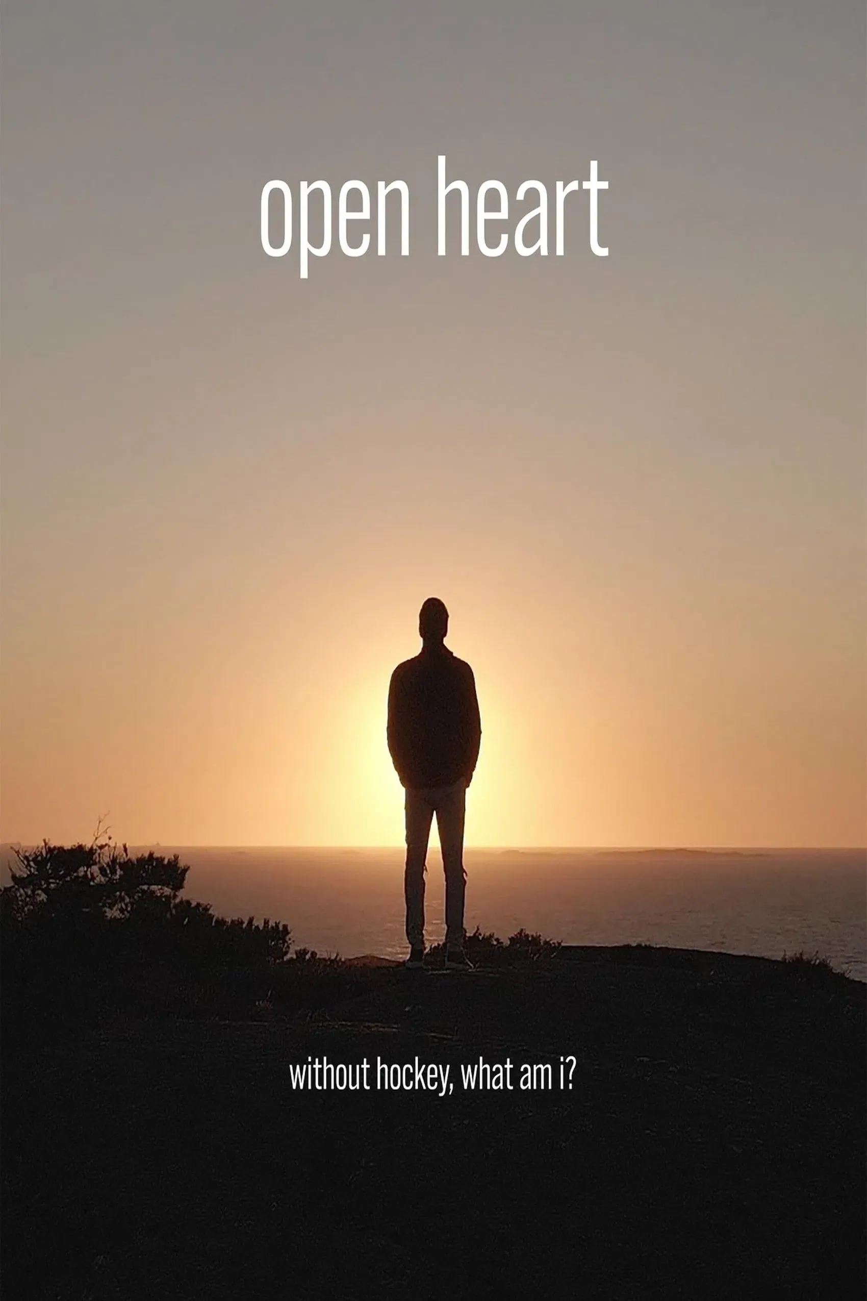 Poster of the movie Open Heart