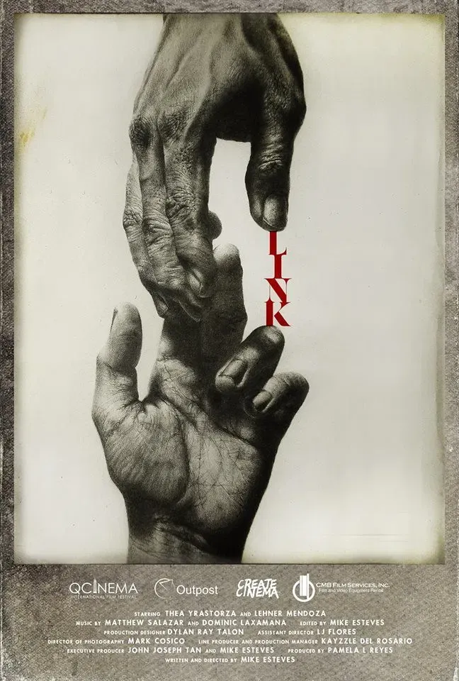 Poster of the movie Link