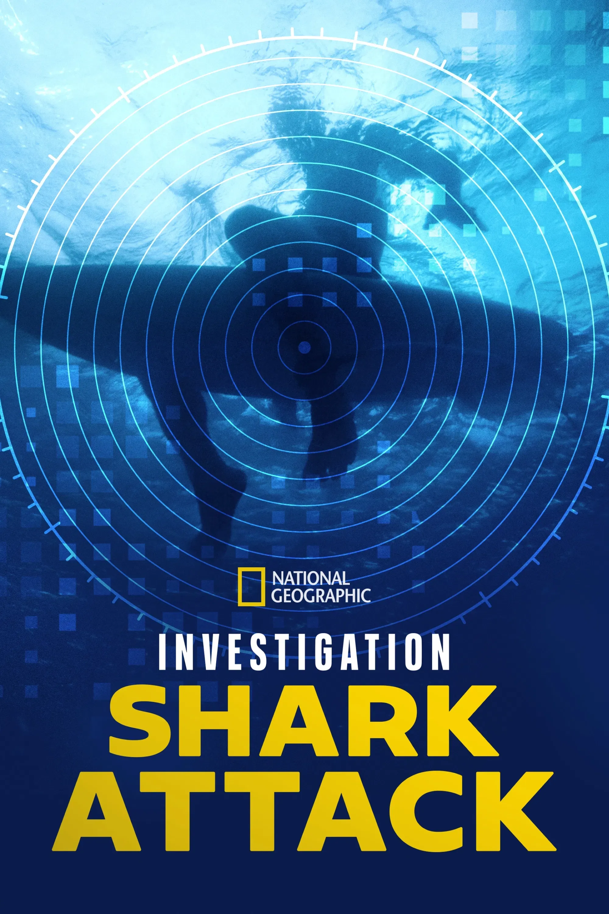Poster of Investigation Shark Attack