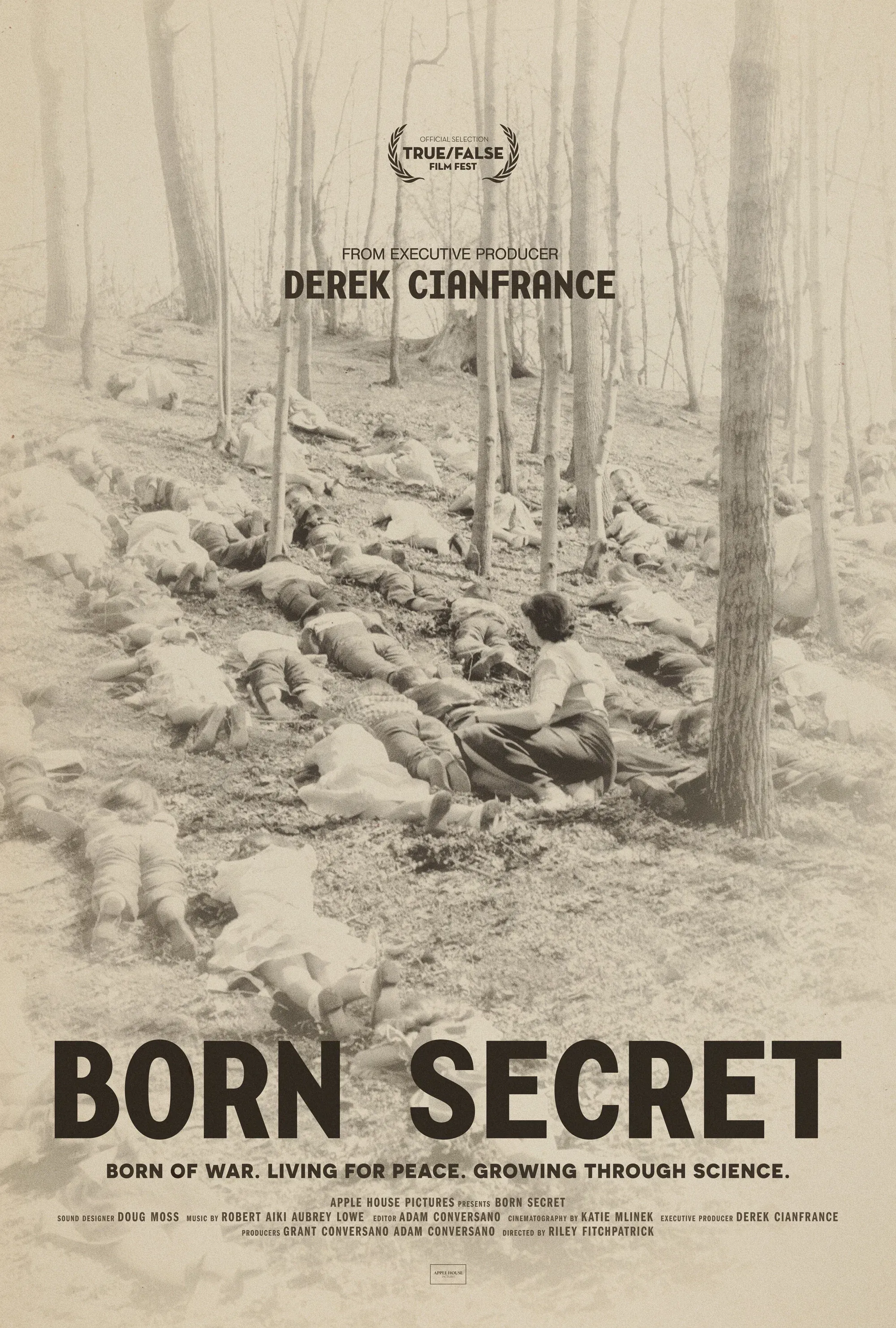 Poster for Born Secret