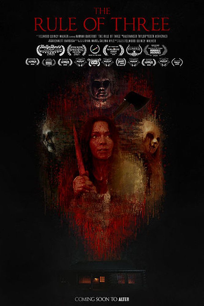 Poster of the movie The Rule of Three
