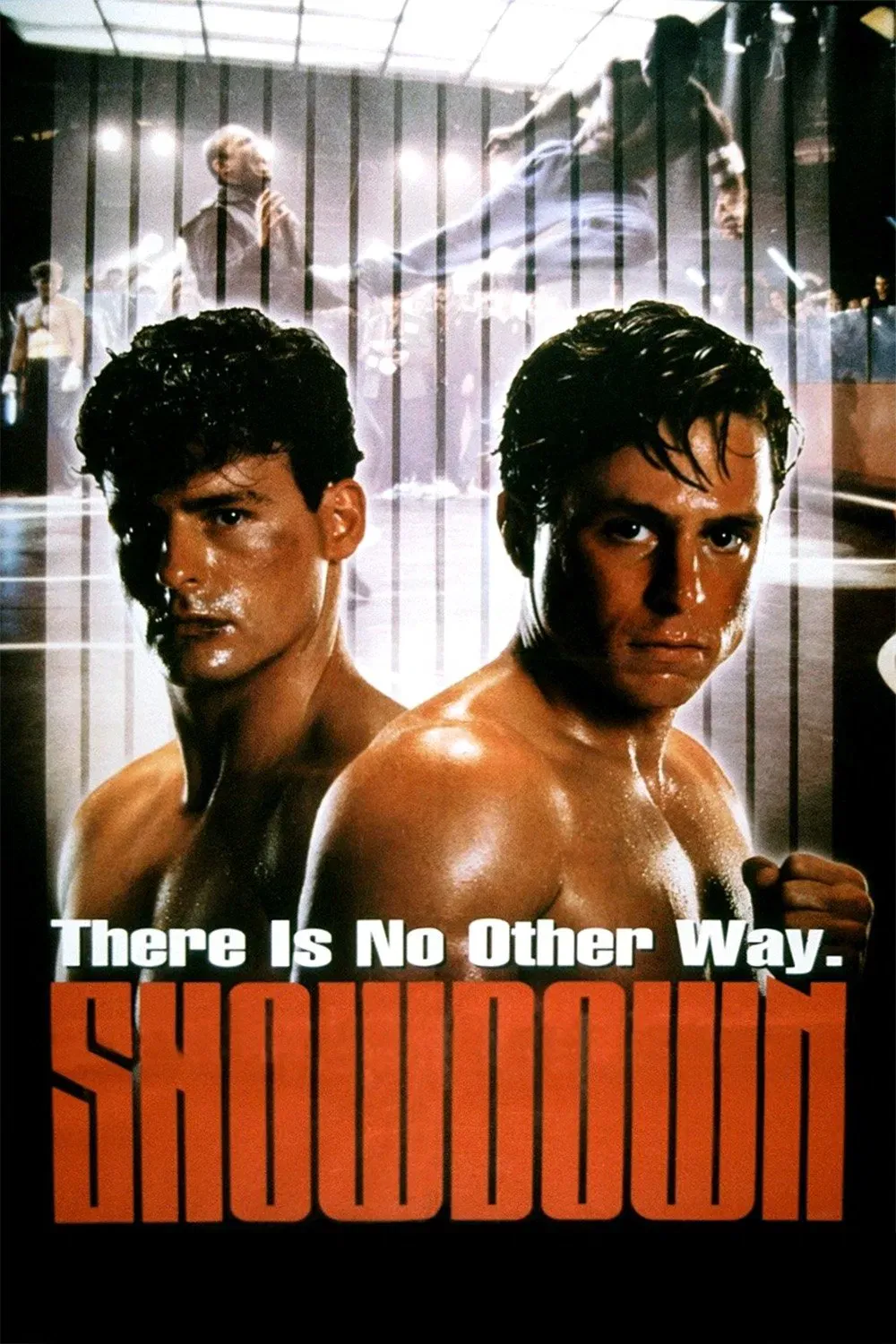 Poster of the movie Showdown