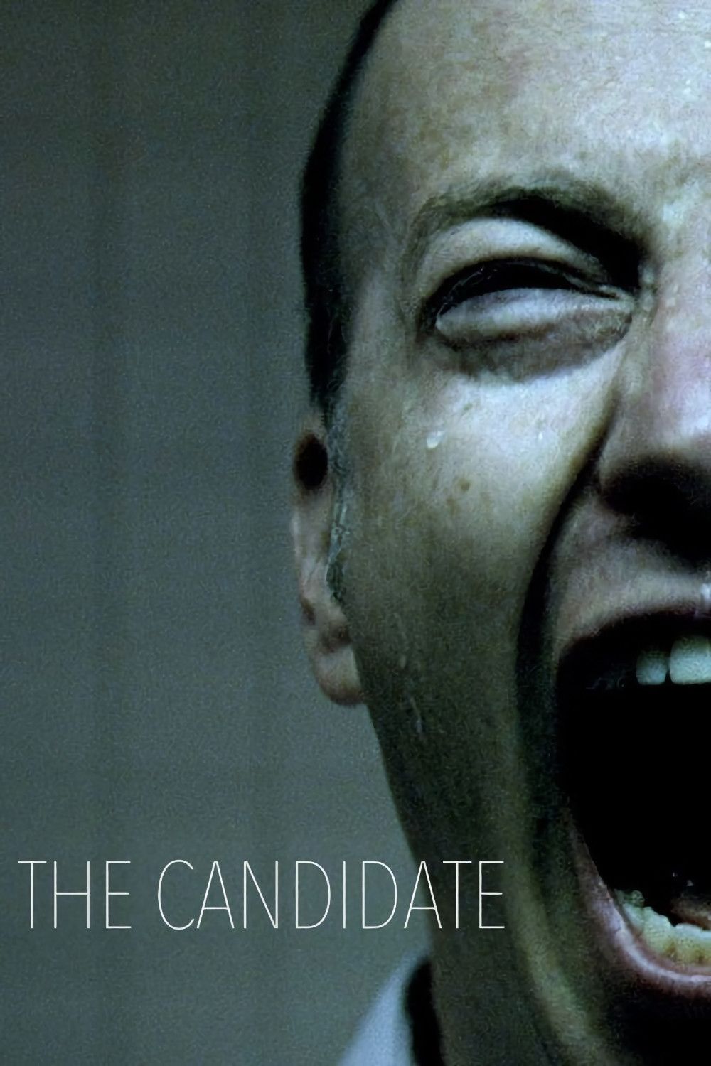 Poster of the movie The Candidate