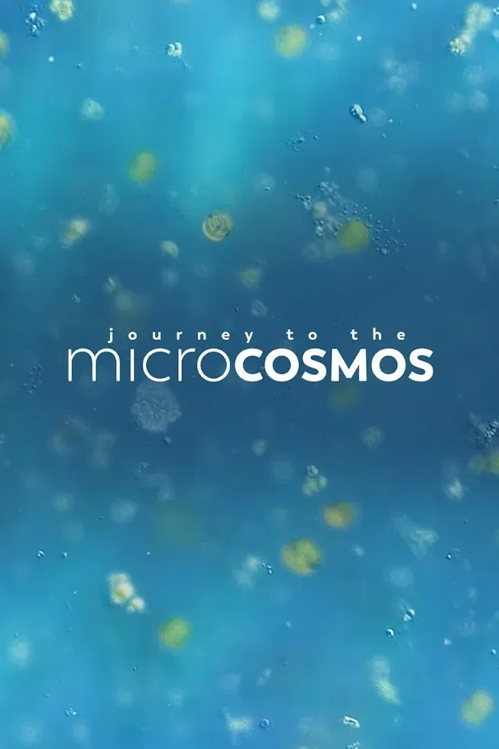 Poster of Journey to the Microcosmos