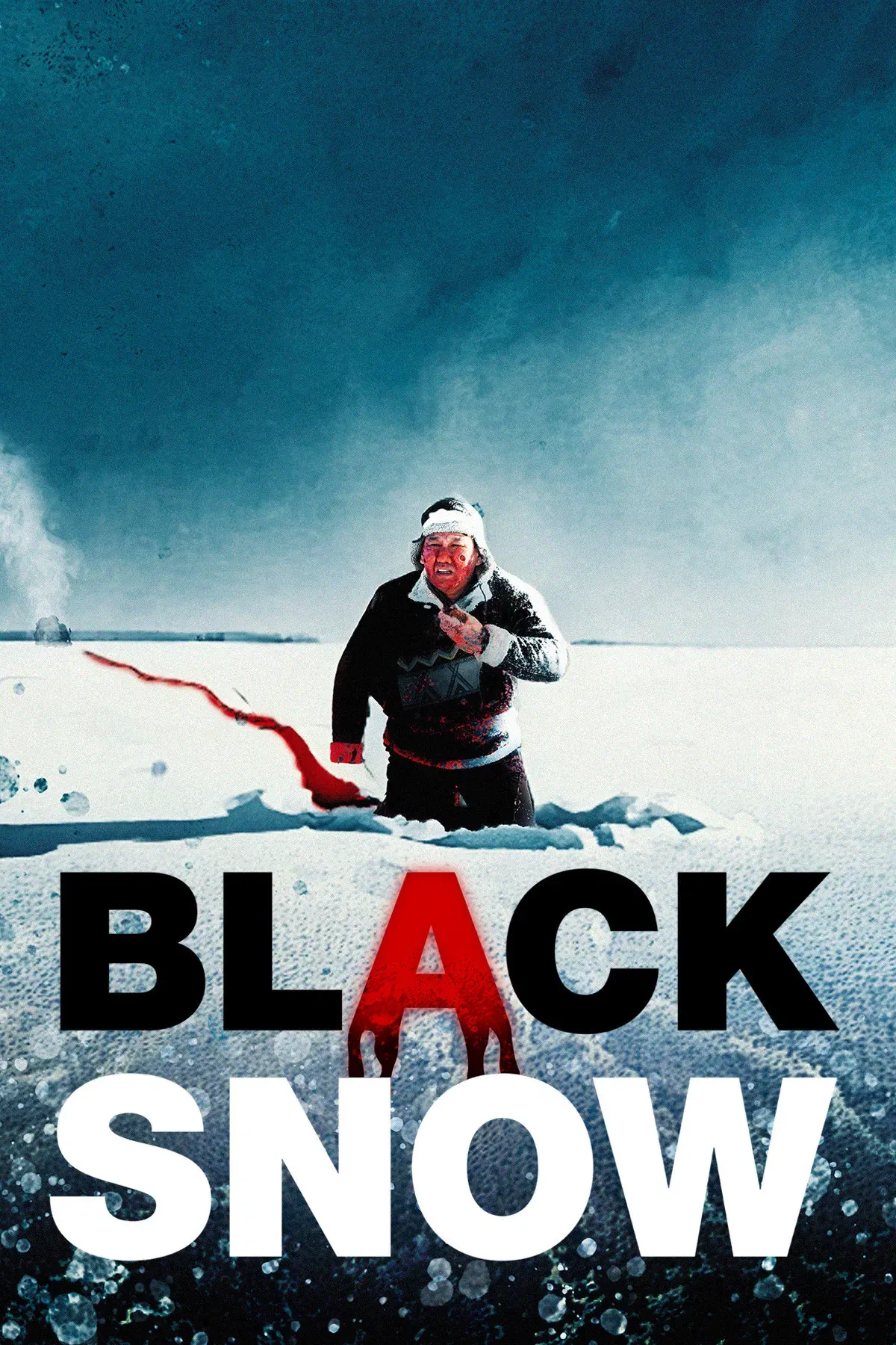 Poster of the movie Black Snow