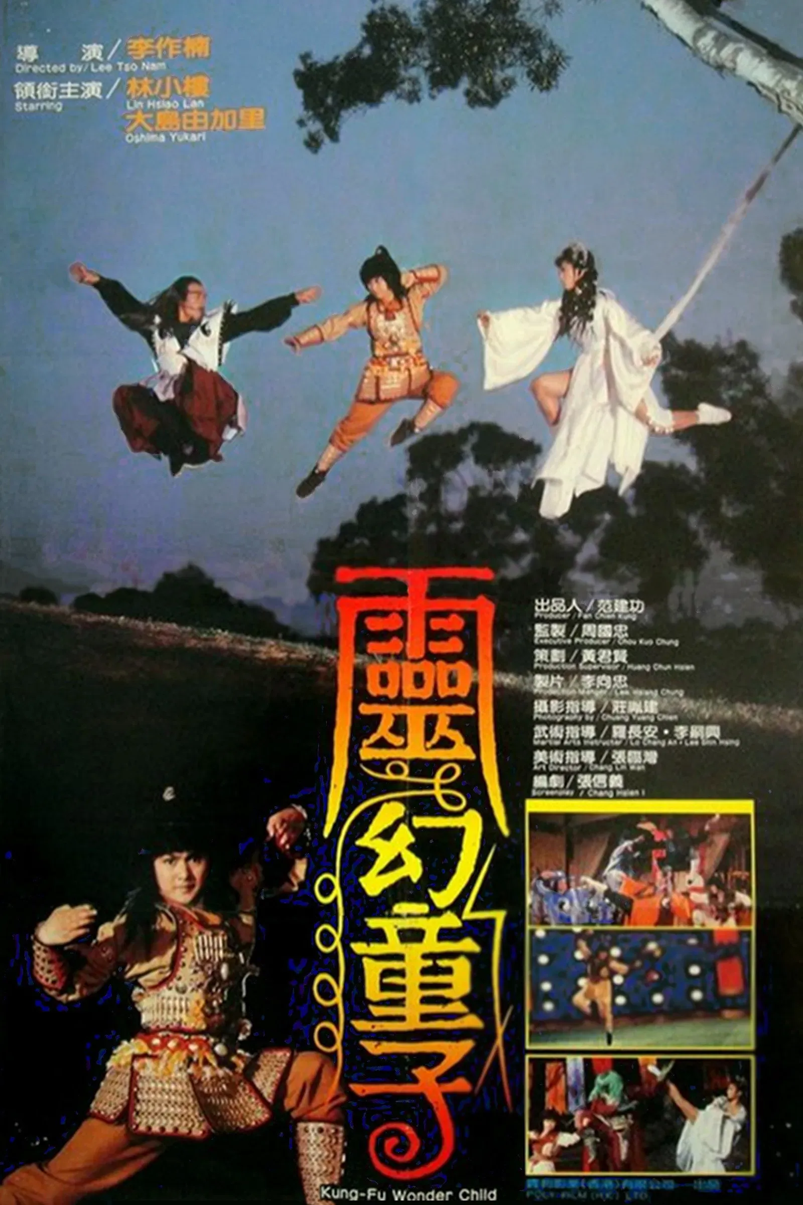Poster of the movie Kung Fu Wonder Child