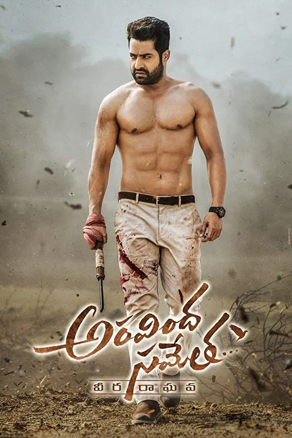 Poster of the movie Aravinda Sametha Veera Raghava