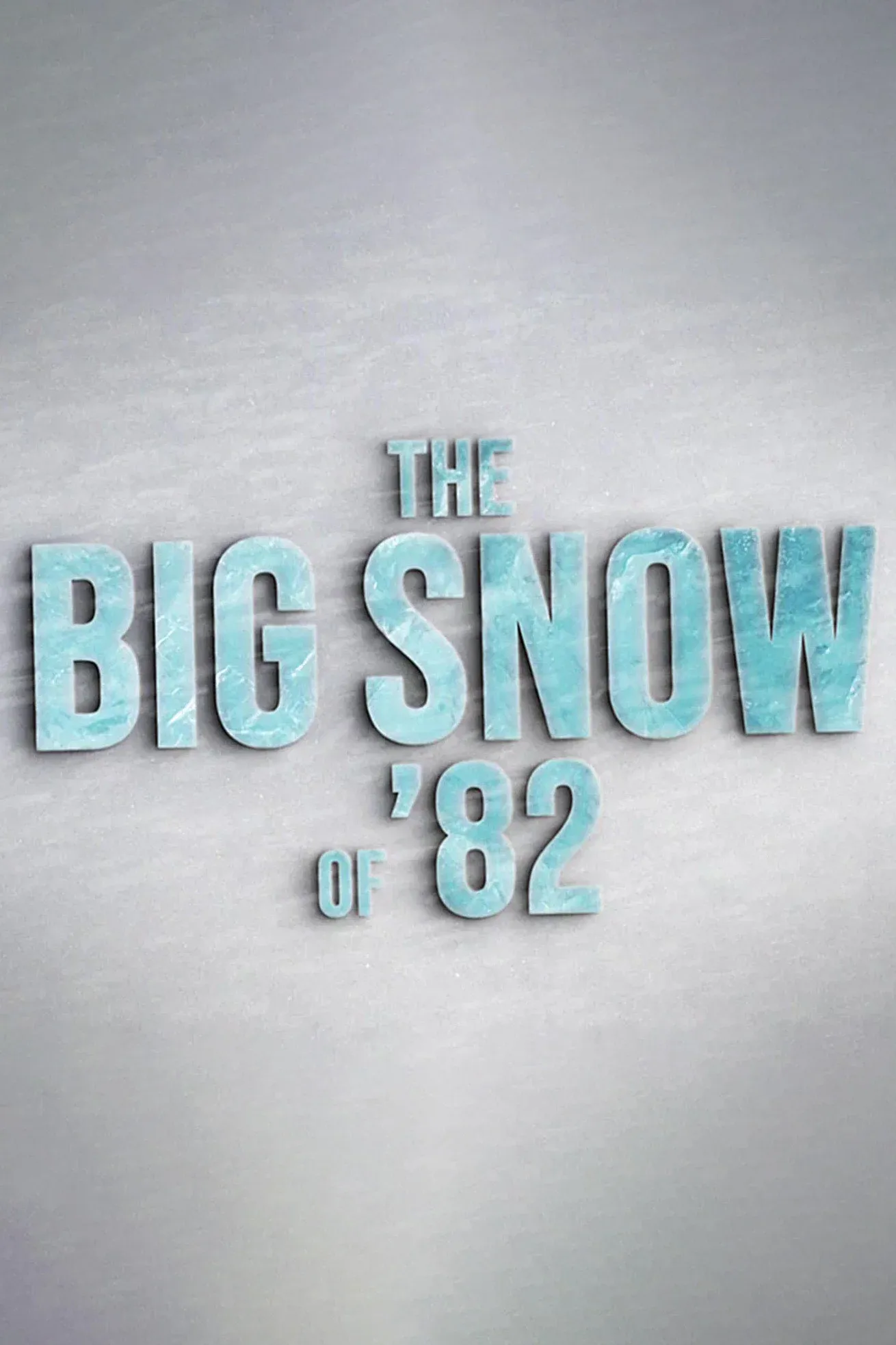 Poster for The Big Snow of '82