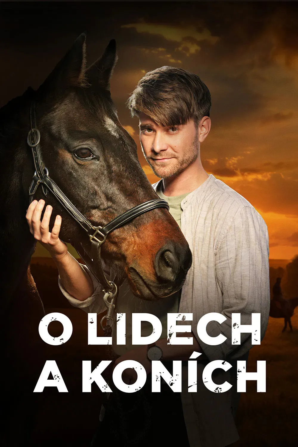 Poster of O lidech a koních