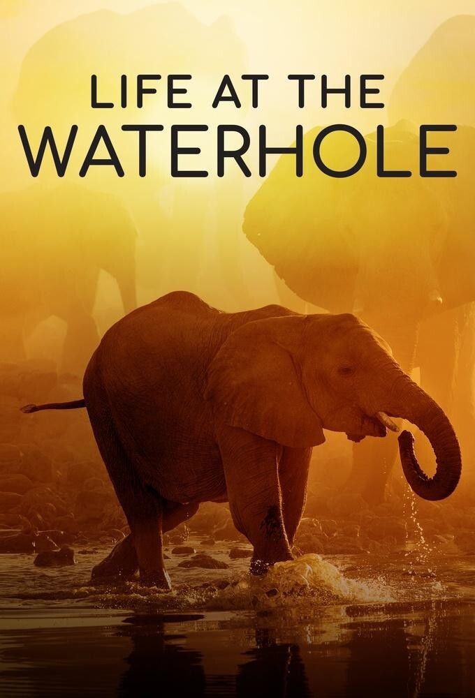 Poster of Life at the Waterhole