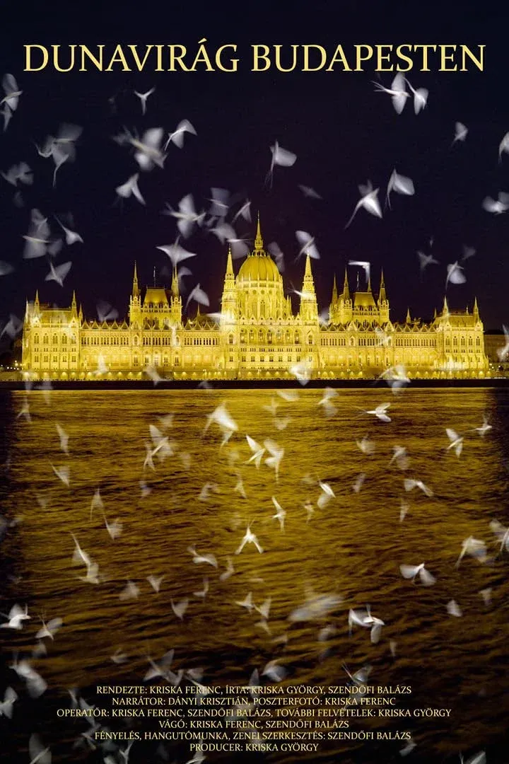 Poster for Dunavirág Budapesten