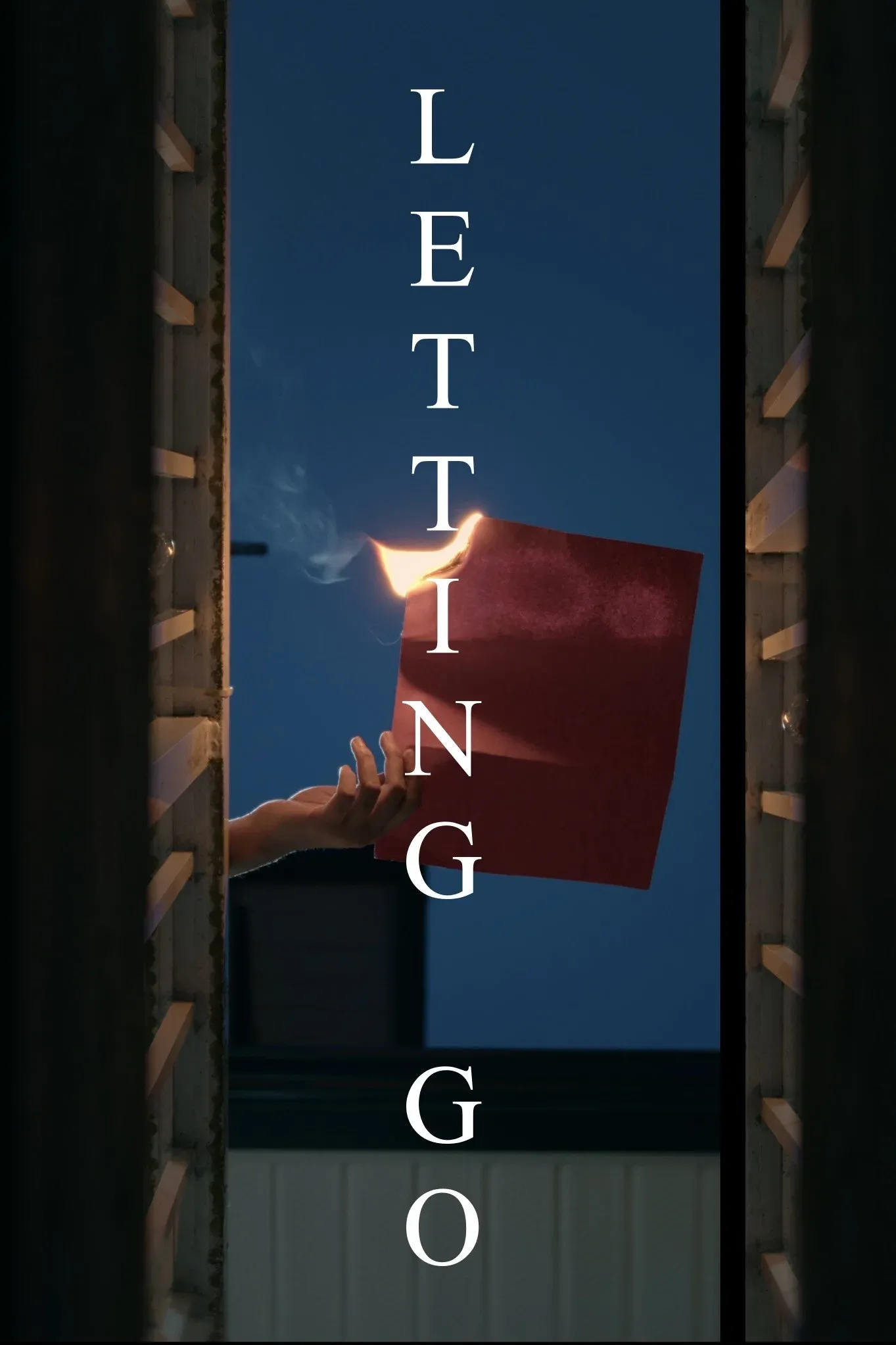 Poster for Letting Go
