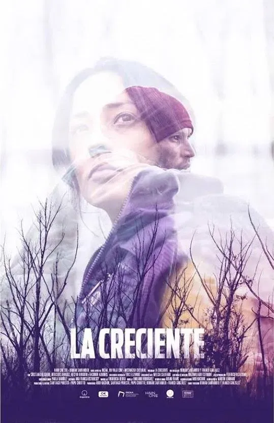 Poster of the movie The Surge