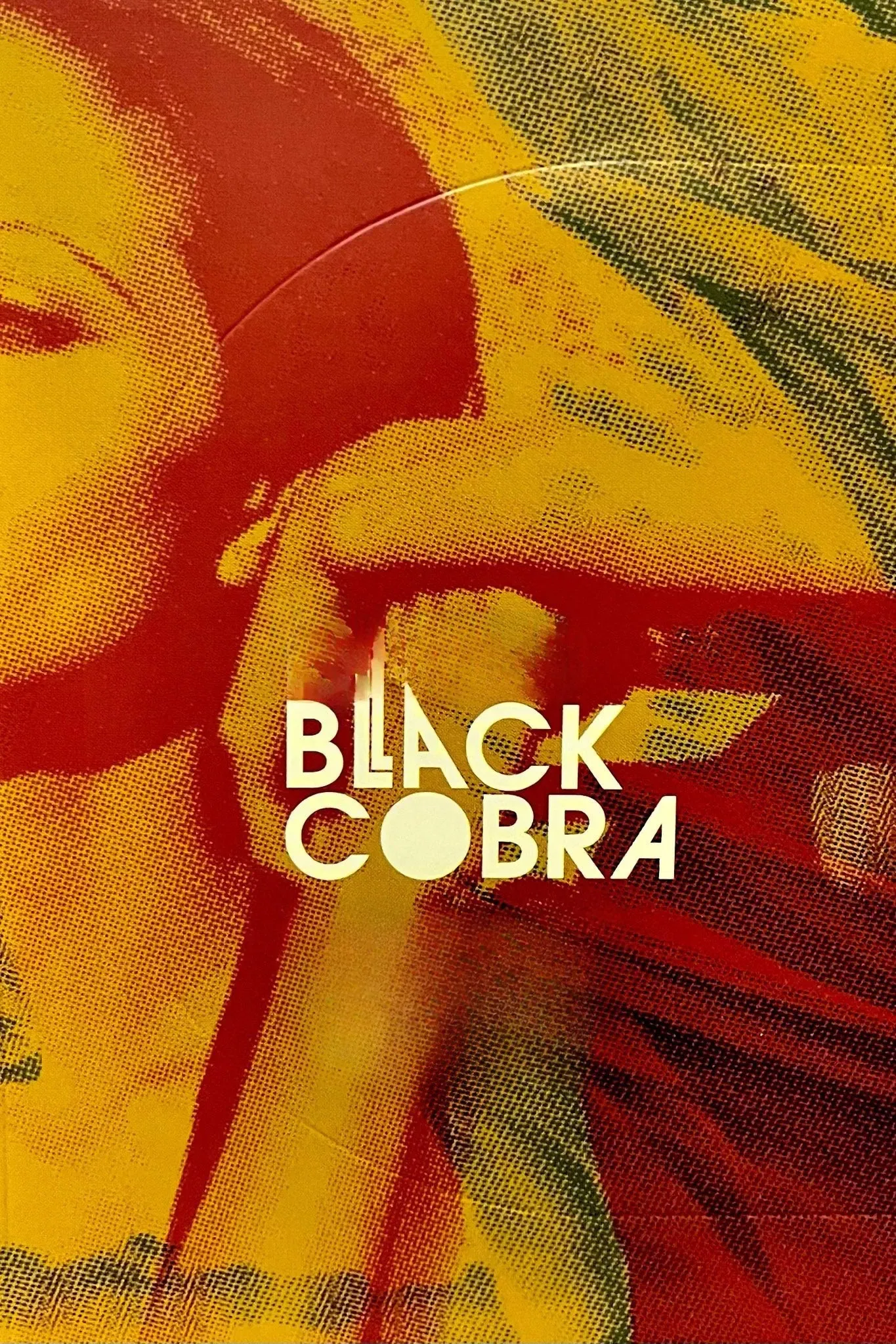 Poster of the movie Black Cobra