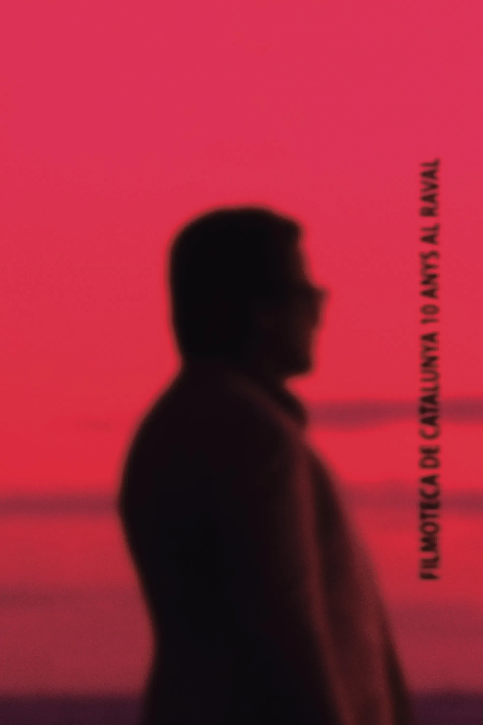 Poster of the movie Filmoteca de Catalunya 10 anys al Raval