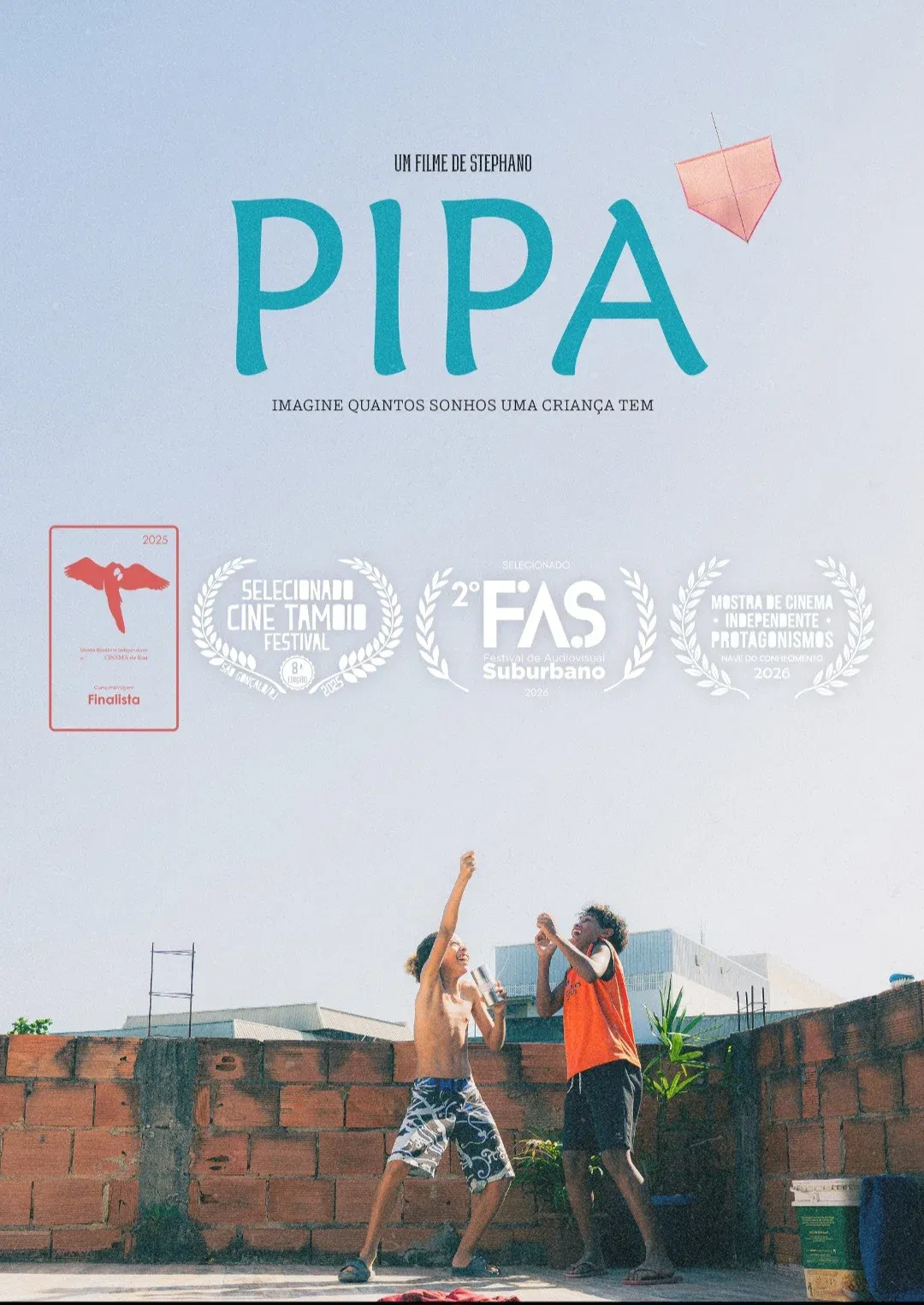 Poster for PIPA