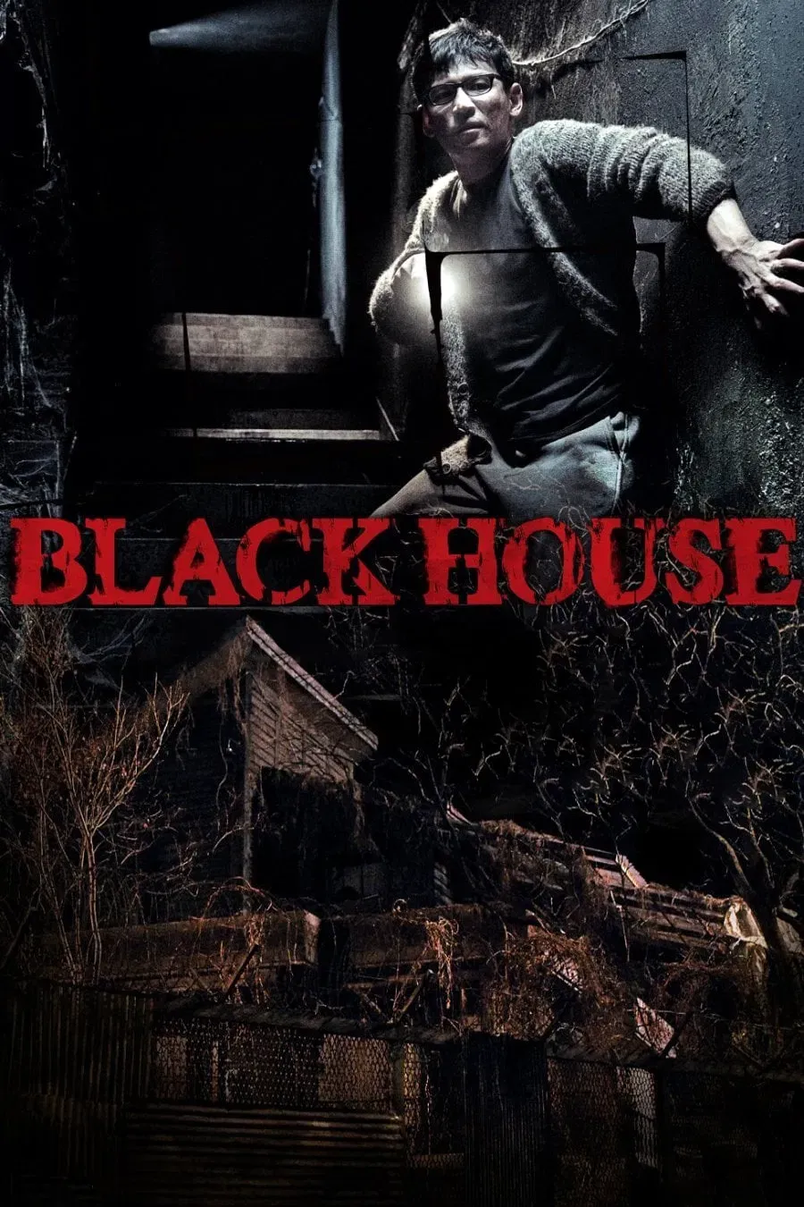 Poster of the movie Black House