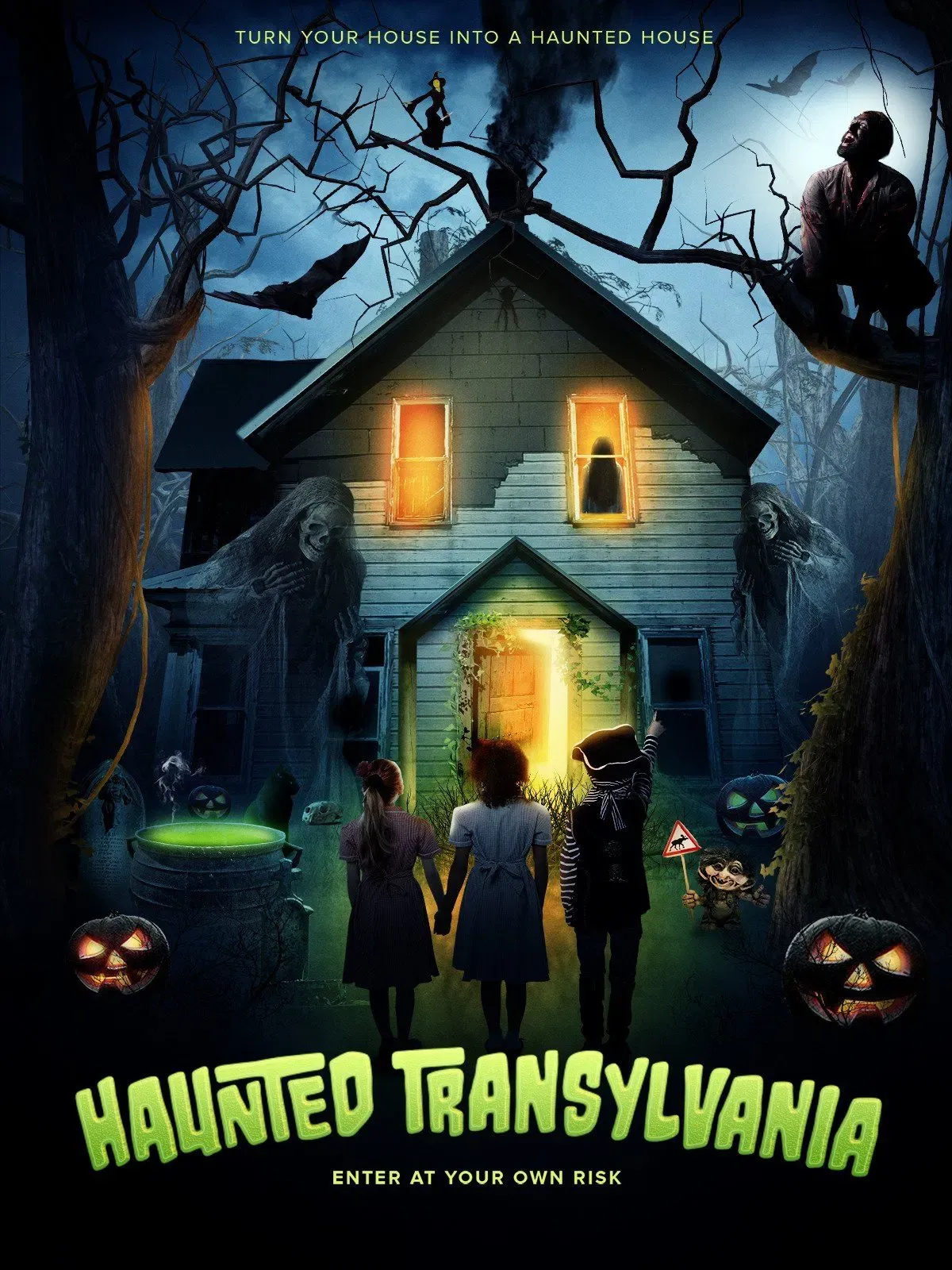 Poster of the movie Haunted Transylvania