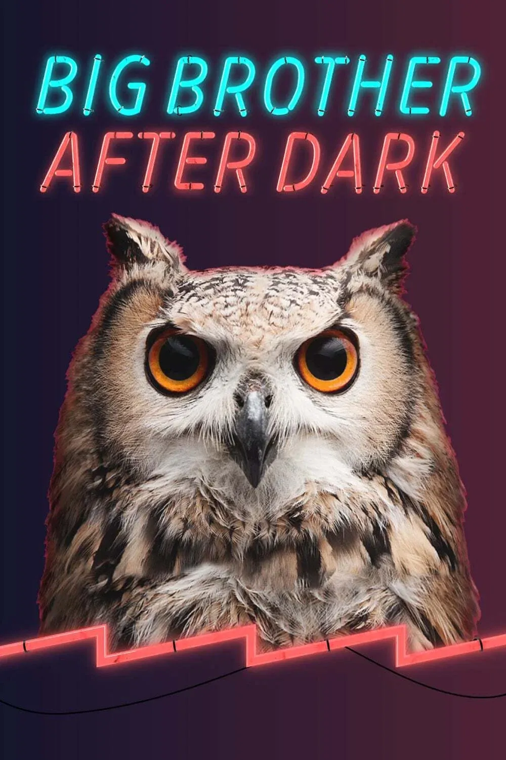 Poster of Big Brother: After Dark