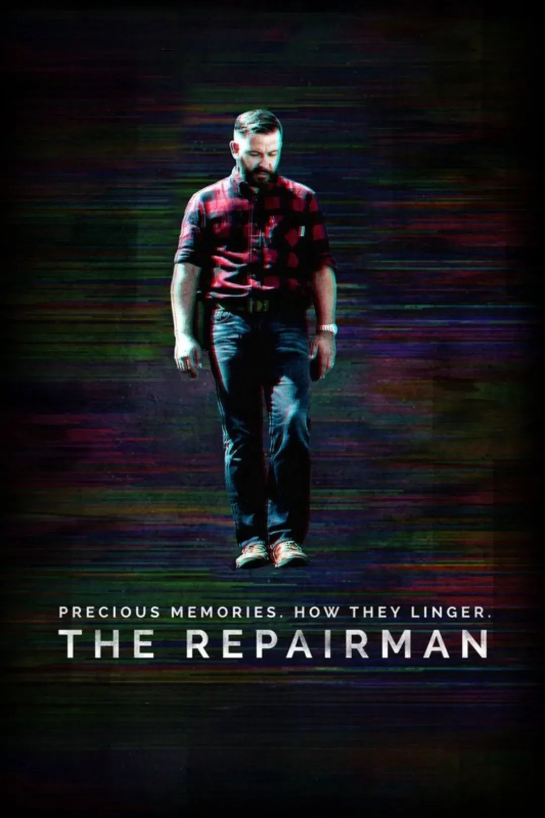 Poster of the movie The Repairman