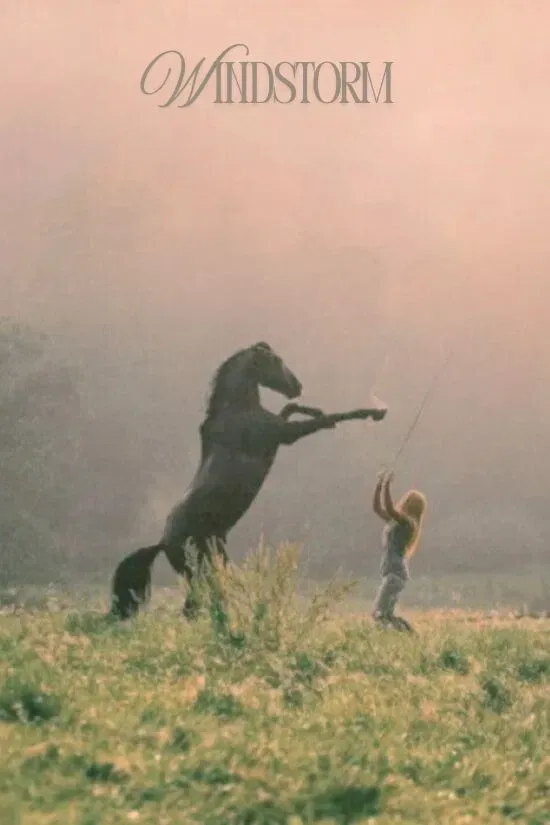 Poster of the movie Windstorm