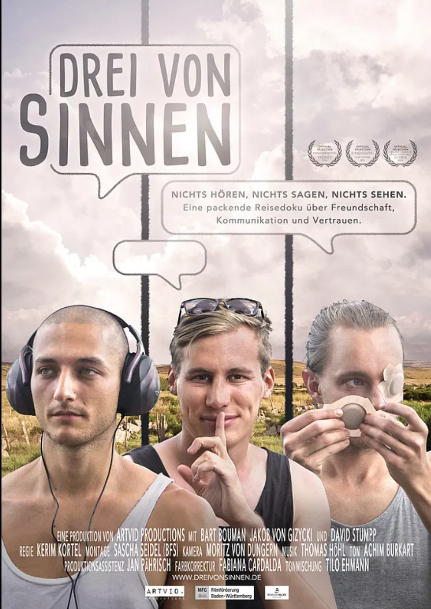 Poster of the movie Drei von Sinnen