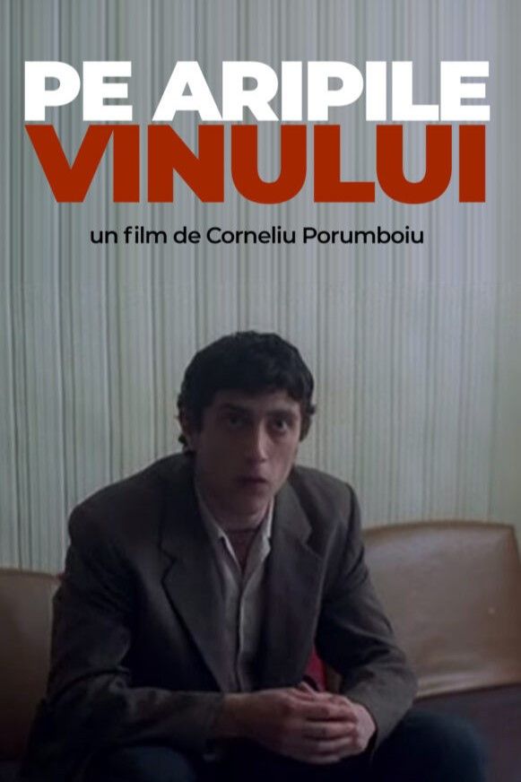 Poster of the movie Gone with the Wine