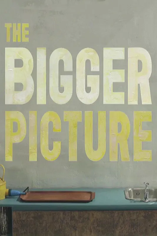 Poster of the movie The Bigger Picture