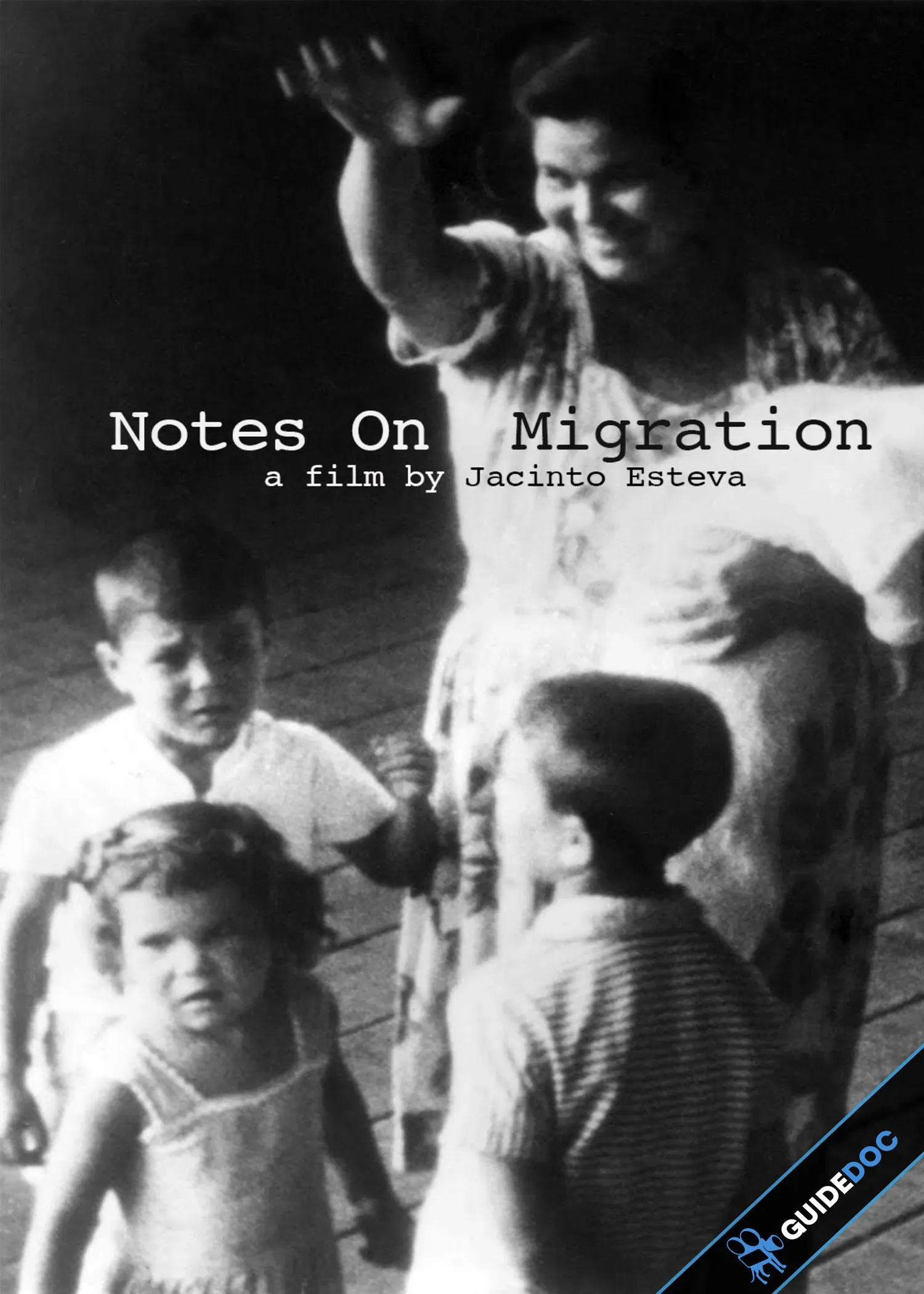 Poster of the movie Notes On Migration