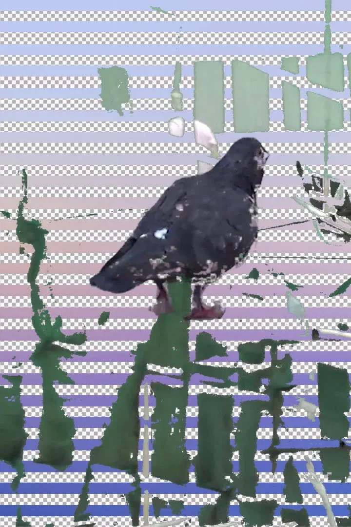 Poster of the movie Tugging Diary