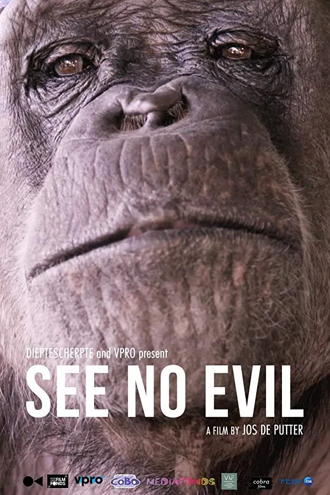 Poster of the movie See No Evil