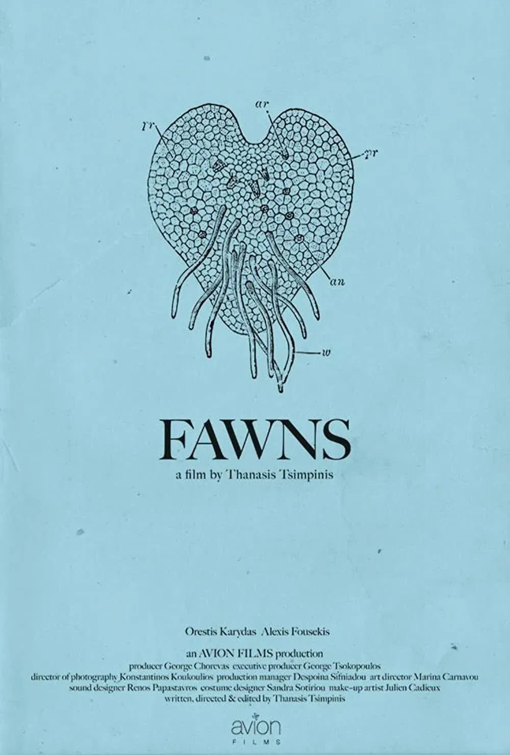 Poster of the movie Fawns