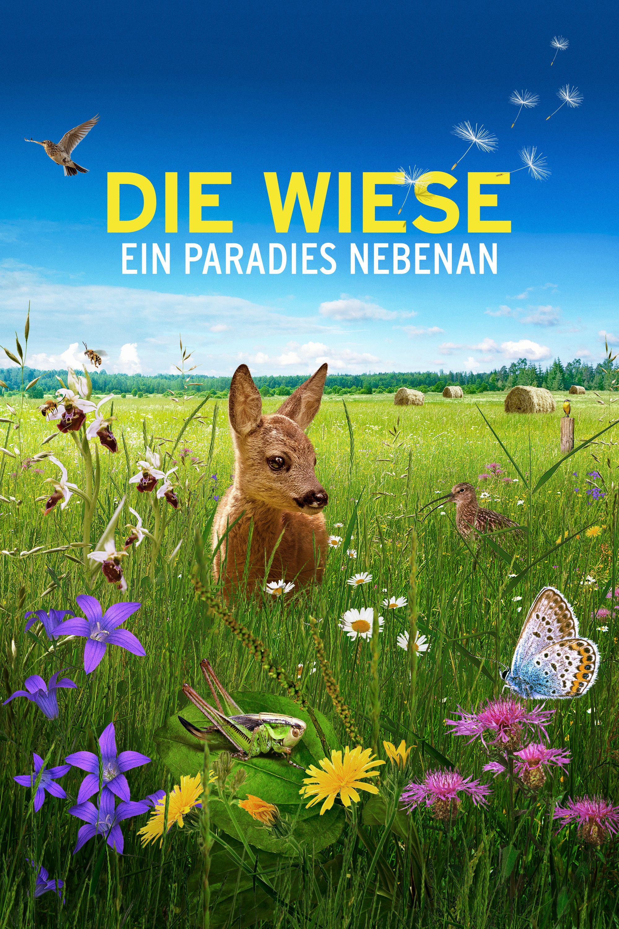 Poster of the movie Die Wiese: Ein Paradies nebenan